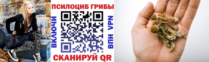 Псилоцибиновые грибы Magic Shrooms  наркотики  Полысаево 